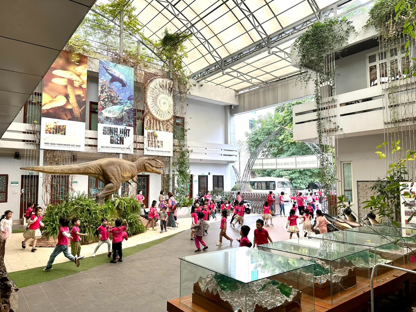 bao-tang-thien-nhien-3