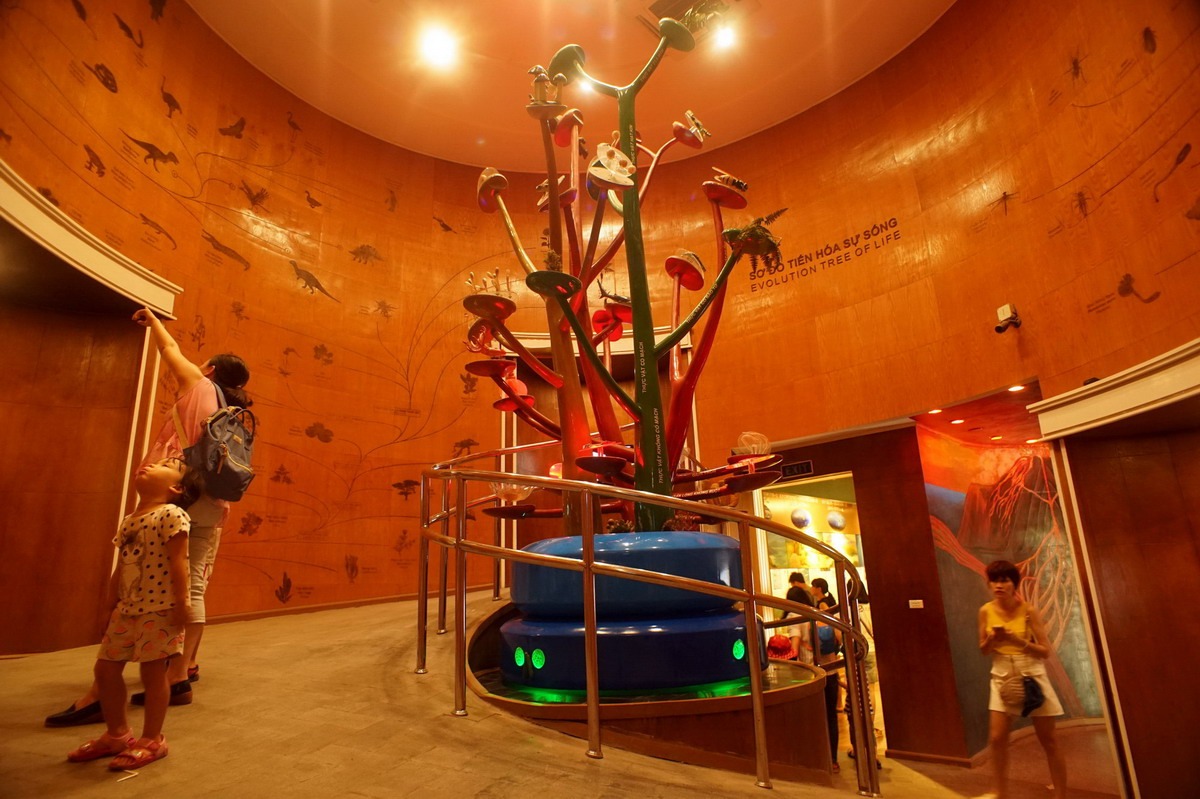 bao-tang-thien-nhien-4