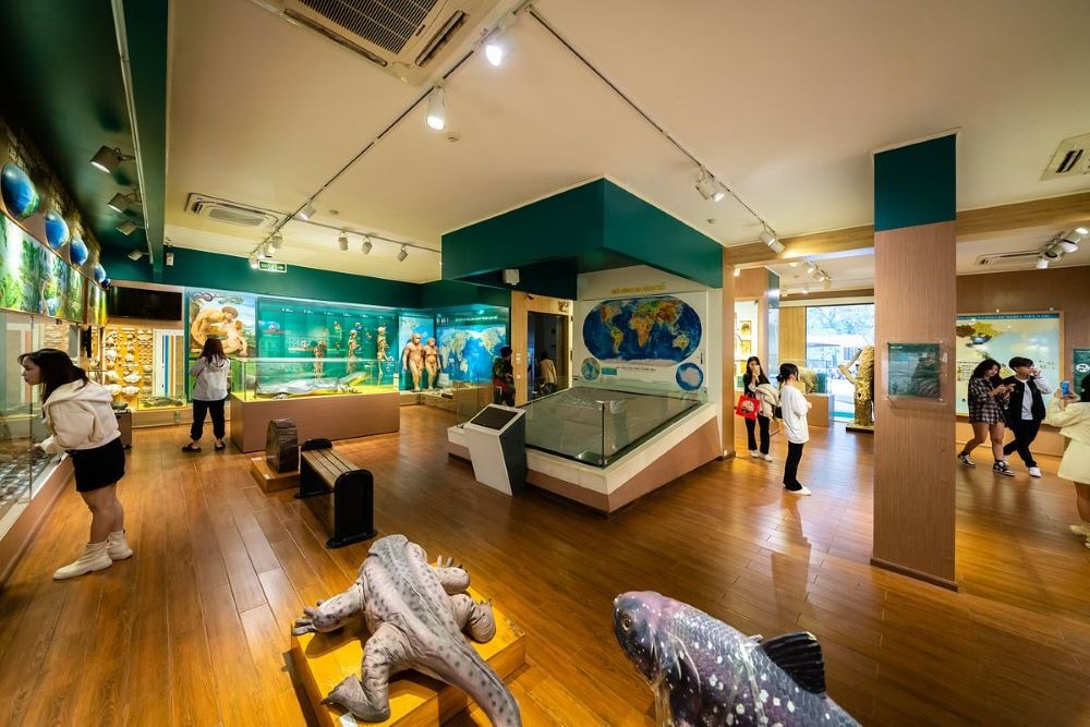 bao-tang-thien-nhien-1