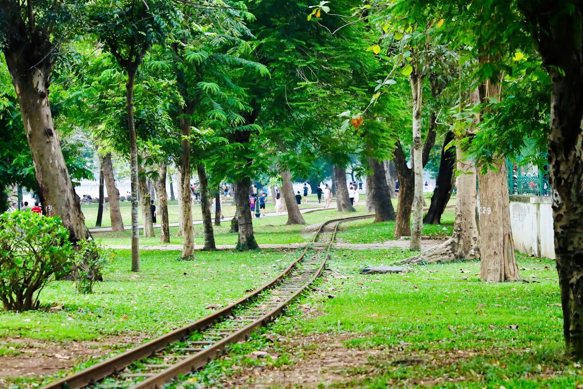 cong-vien-thong-nhat-1